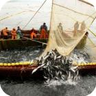 Проблемы с лицензиями  астраханских рыбаков 20. 03. 2014